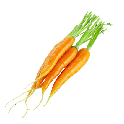Baby Orange Carrot - Fresh