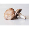 Baby Portobello Mushroom - Fresh