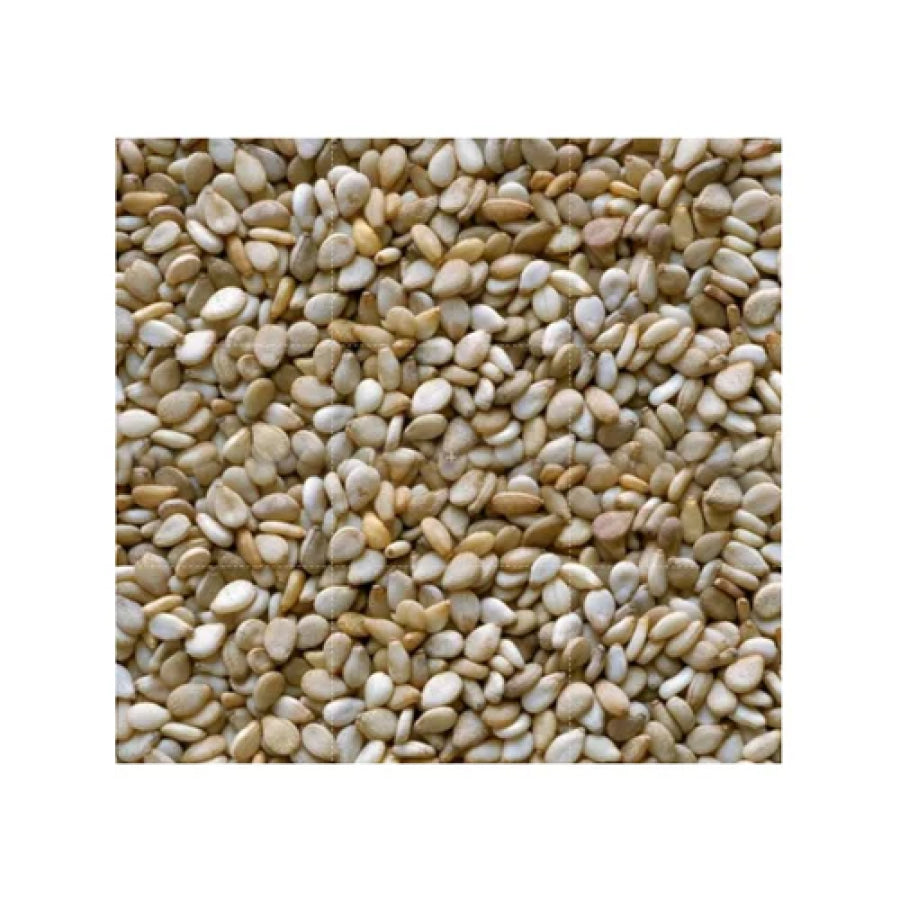 Organic White Sesame Seeds - The Green Earth