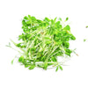 Argula Microgreens - Fresh Aisle