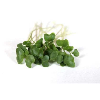 Broccoli Microgreens - Fresh Aisle