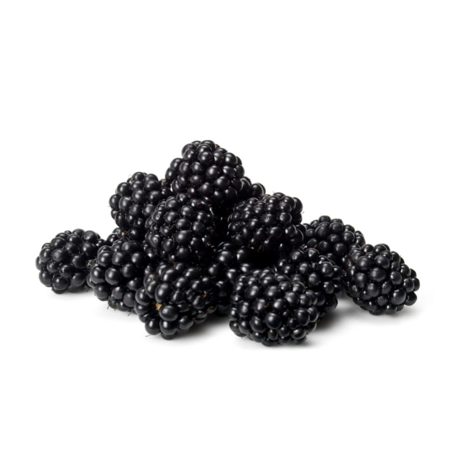 Fresh Blackberry