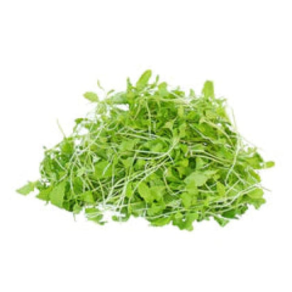 Komatsuna Microgreens - Fresh Aisle