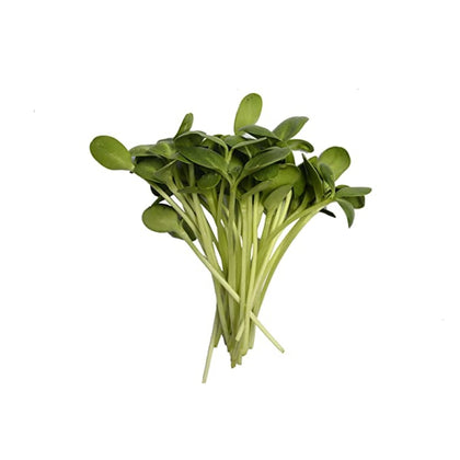 Sunflower Microgreens - Fresh Aisle