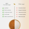 Coconut Sugar - Rizz