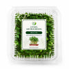 Living Broccoli Microgreens - Ava