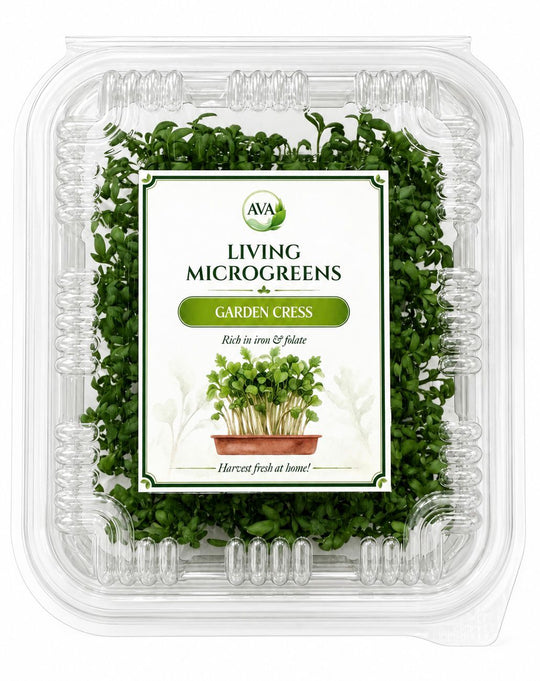 Premium Living Garden Cress Microgreens - Ava