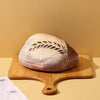Classic Sourdough - Little Lot