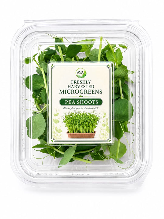 Freshly Harvested Pea Shoots Microgreens - Ava