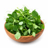 Freshly Harvested Pea Shoots Microgreens - Ava