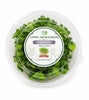 Living White Radish Microgreens - Ava