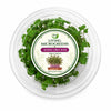 Living Radish China Rose Microgreens - Ava