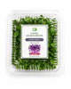 Living Turnip Purple Microgreens - Ava