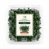 Premium Living Kale Microgreens - Ava