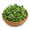 Freshly Harvested Sunflower Microgreens - Ava