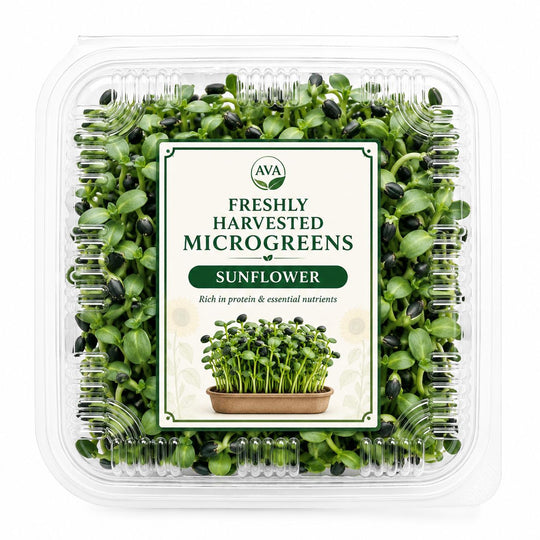 Freshly Harvested Sunflower Microgreens - Ava