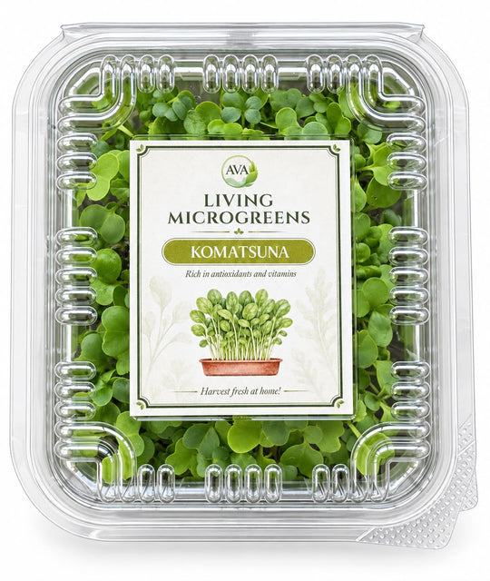 Premium Living Komatsuna Microgreens - Ava
