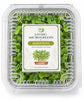 Living Komatsuna Microgreens - Ava