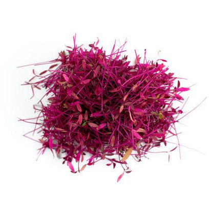 Amaranth Microgreens - Fresh Aisle