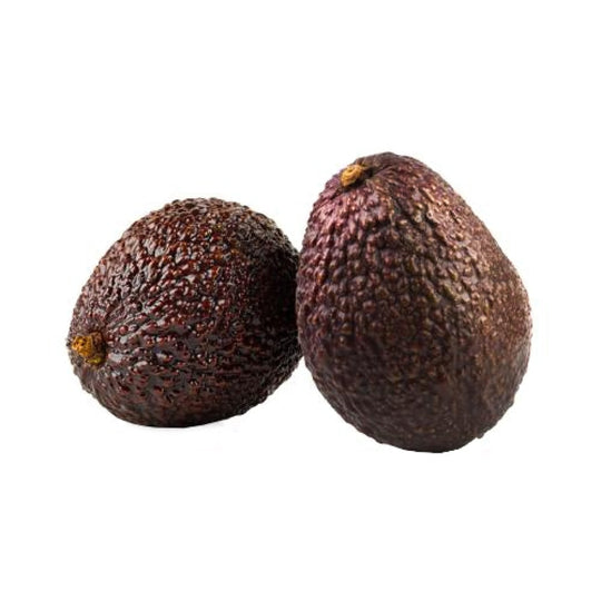 Avocado Tanzania - Fresh