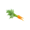 Baby Carrot With Leaf - Fresh