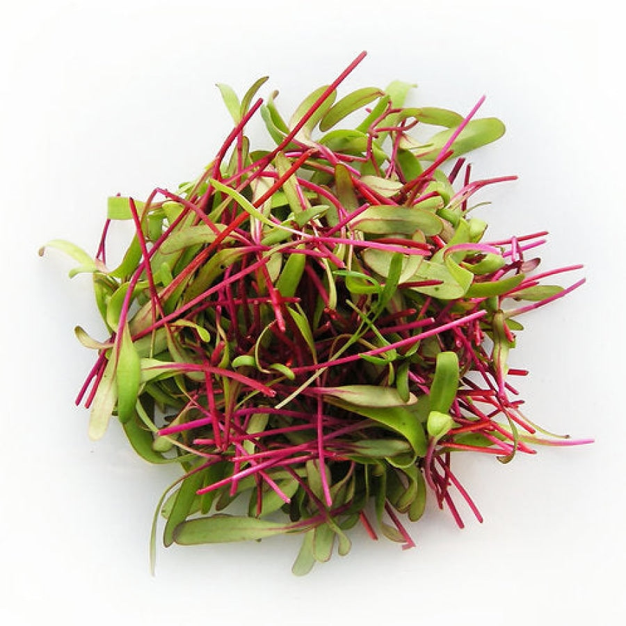 Beetroot Microgreens - Fresh Aisle