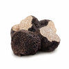 Black Truffle - Fresh