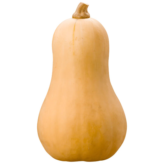 Fresh - Butternut Squash