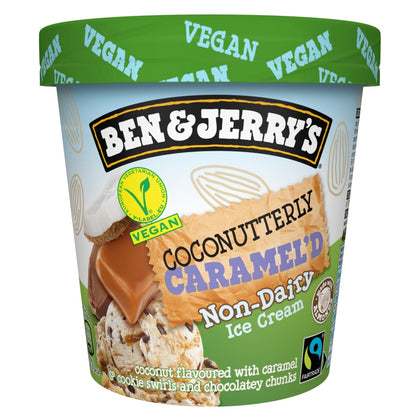 Coconutterly Caramel (Non Dairy) - Ben & Jerry