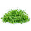 Dill Microgreens - Fresh Aisle