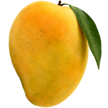 Fresh Alphonso Mango Ratnagiri