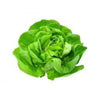 Fresh Butterhead Lettuce (Hydroponic)