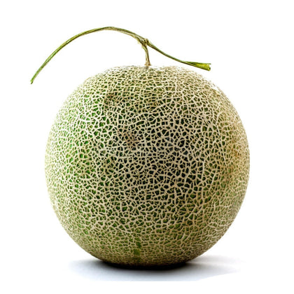 Fresh Japanese Melon