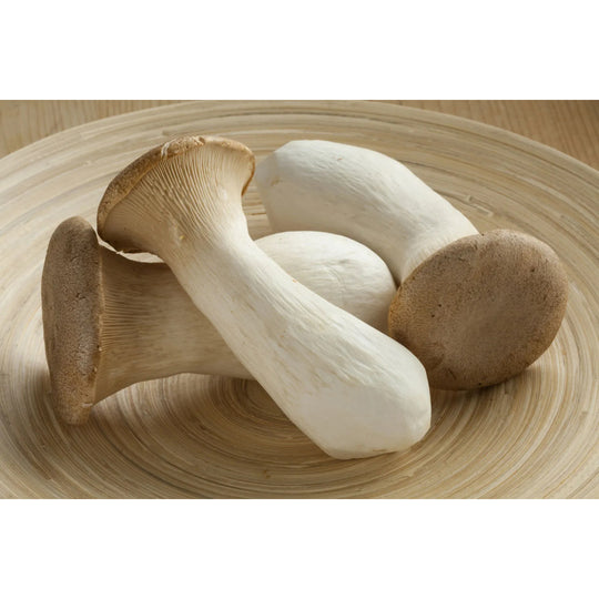 Fresh King Oyster Mushroom
