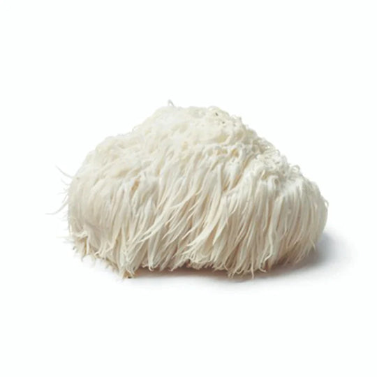 Fresh Lion's Mane Mushroom