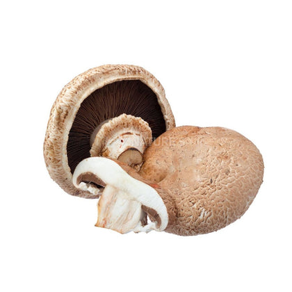 Fresh Portobello Mushrooms