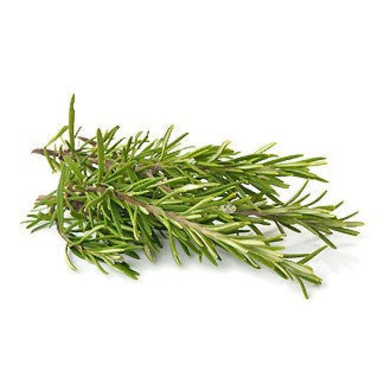 Fresh Rosemary