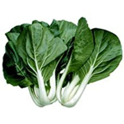 Fresh White Pakchoi