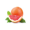 Grapefruit - Fresh