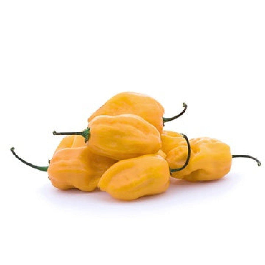 Habenero Chilli Yellow - Fresh