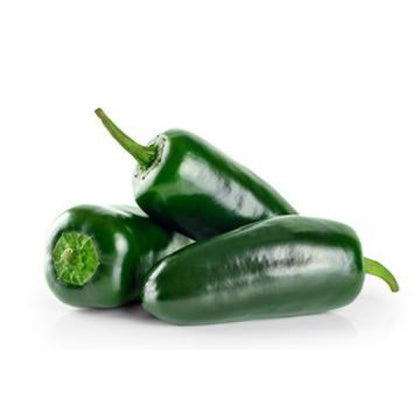 Jalapeno Hot Chilli - Fresh