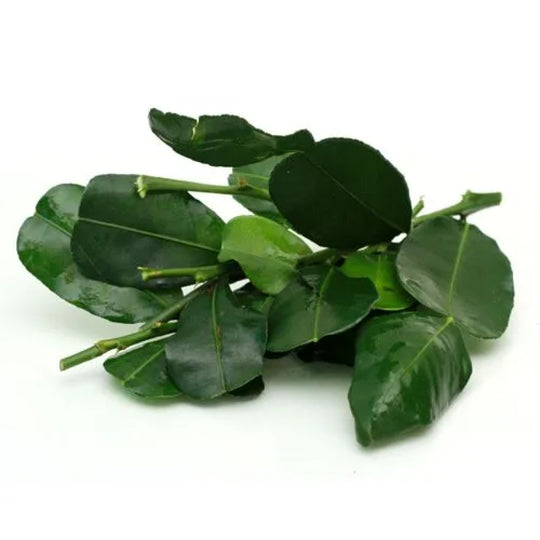 Kaffir Lime Leaves - Fresh