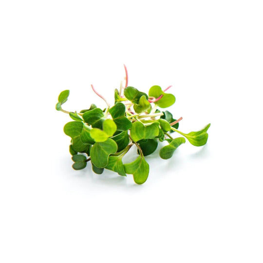Knal Knol Microgreens - Fresh Aisle