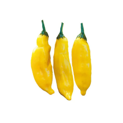 Lemon Pepper - Fresh