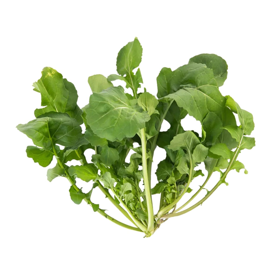 Lettuce Arugula (Hydroponic) - Fresh