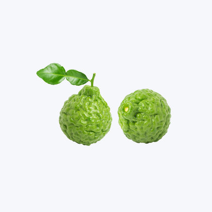 Makroot Lemon - Fresh