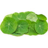 Nasturitum Leaves - Fresh