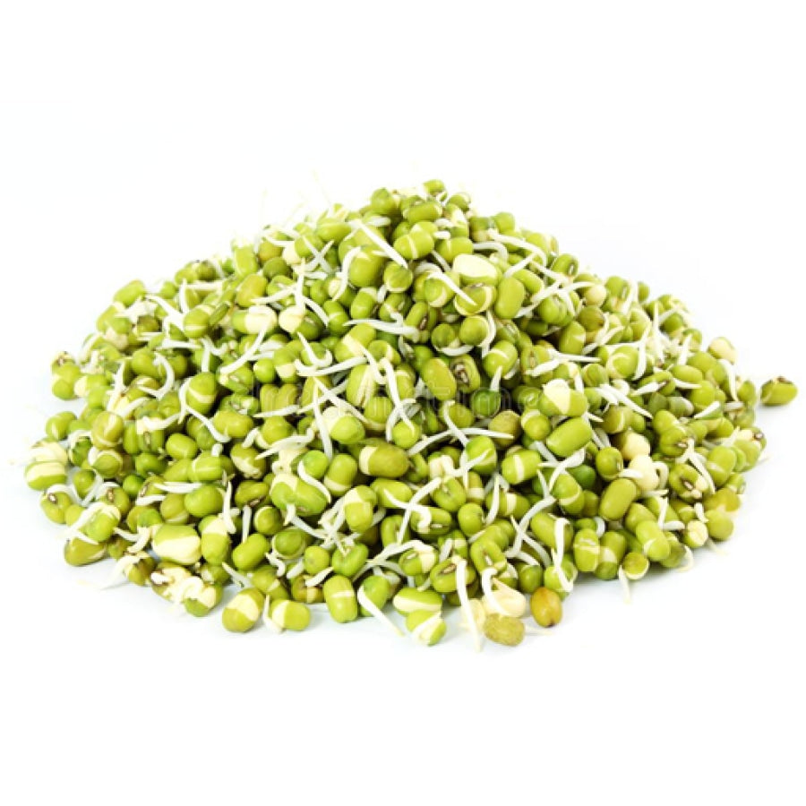 Organic Moong Sprouts - God’s Greens