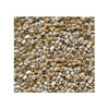 Organic White Sesame Seeds - The Green Earth