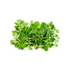 Pakchoi Microgreens - God’s Greens